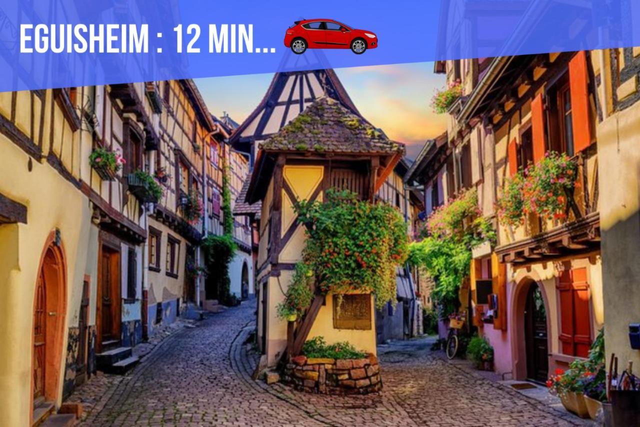 Apartament Le Blue St Leon : 2 Pieces Cozy Lit King Size Wifi Colmar Zewnętrze zdjęcie