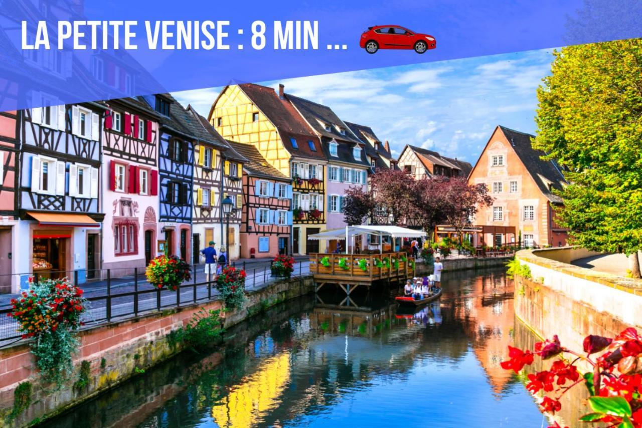 Apartament Le Blue St Leon : 2 Pieces Cozy Lit King Size Wifi Colmar Zewnętrze zdjęcie
