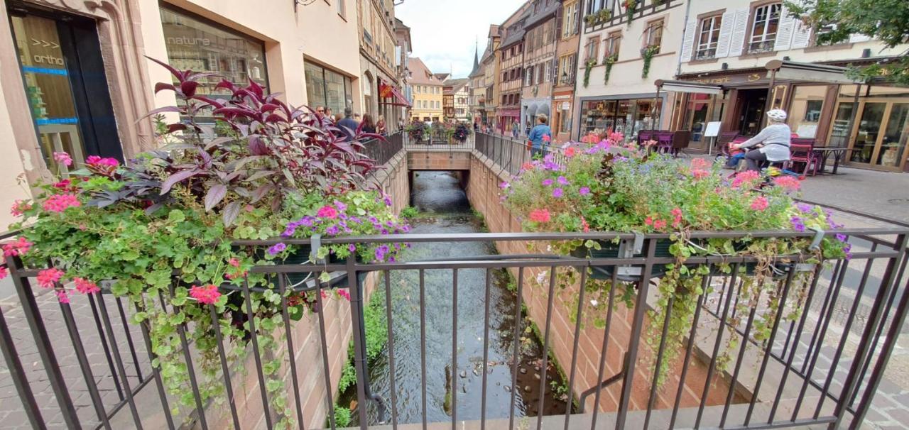 Apartament Le Blue St Leon : 2 Pieces Cozy Lit King Size Wifi Colmar Zewnętrze zdjęcie