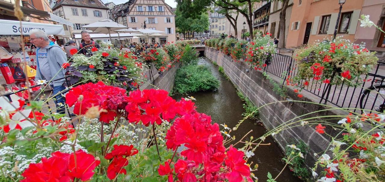 Apartament Le Blue St Leon : 2 Pieces Cozy Lit King Size Wifi Colmar Zewnętrze zdjęcie