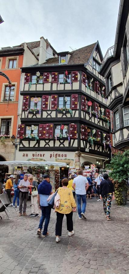 Apartament Le Blue St Leon : 2 Pieces Cozy Lit King Size Wifi Colmar Zewnętrze zdjęcie