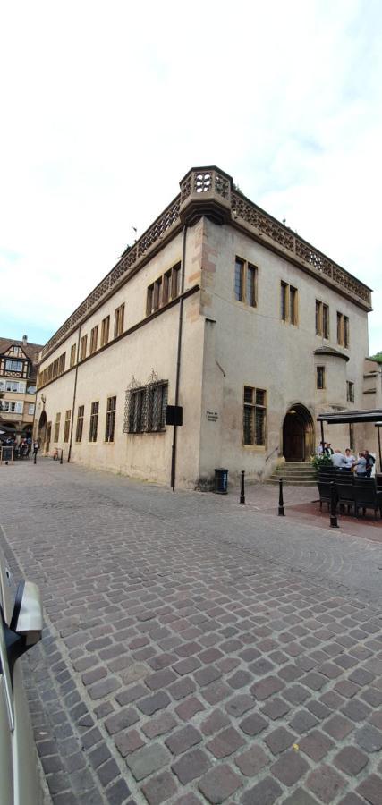 Apartament Le Blue St Leon : 2 Pieces Cozy Lit King Size Wifi Colmar Zewnętrze zdjęcie
