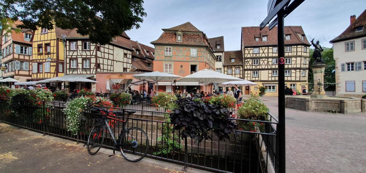 Apartament Le Blue St Leon : 2 Pieces Cozy Lit King Size Wifi Colmar Zewnętrze zdjęcie